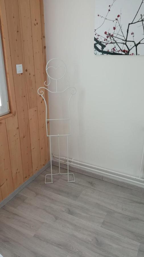 L'Ecrin Des Vosges Apartman Gérardmer Kültér fotó